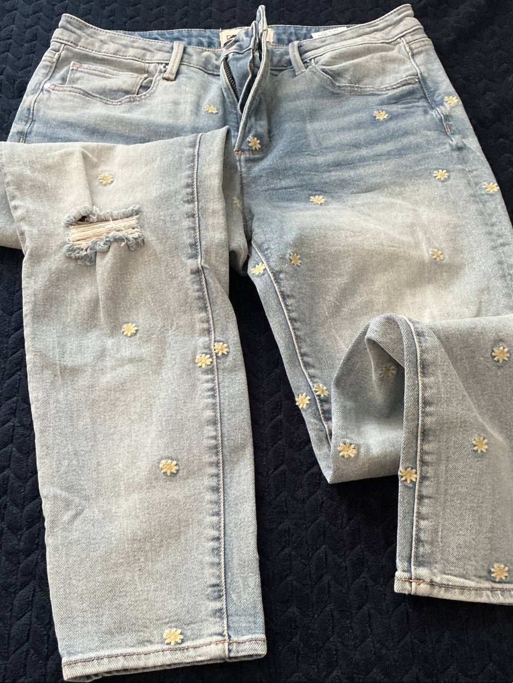 DRIFTWOOD Gizelle Light Blue Skinny Jeans with Daisy Embroidery - Picture 6 of 8